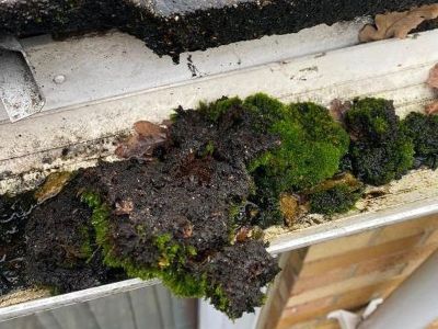 Chingford gutter cleaning